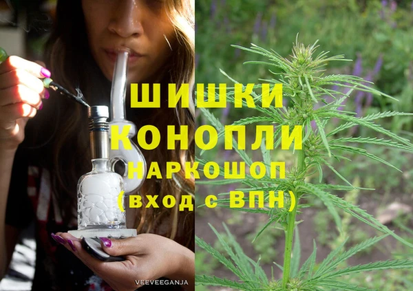 трава Аркадак