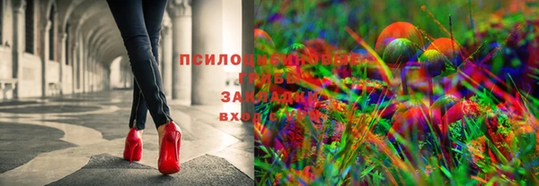 сатива Арсеньев