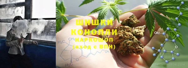 сатива Арсеньев