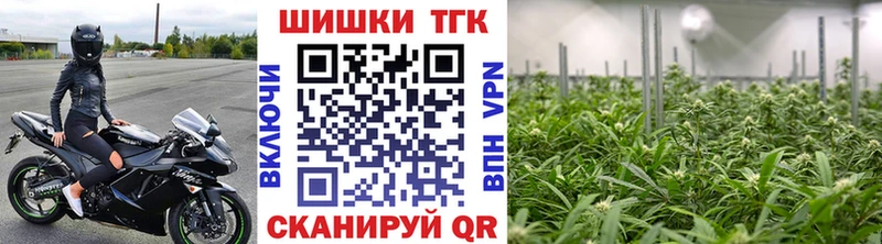 где можно купить   Протвино  МАРИХУАНА сатива 